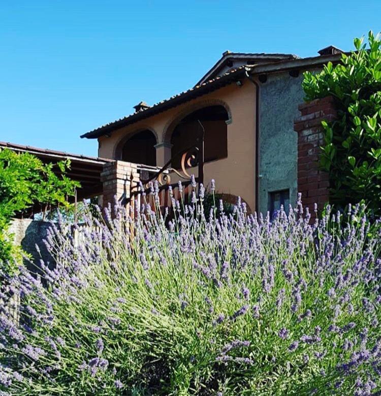 Penna Il Casolare B&B 외부 사진